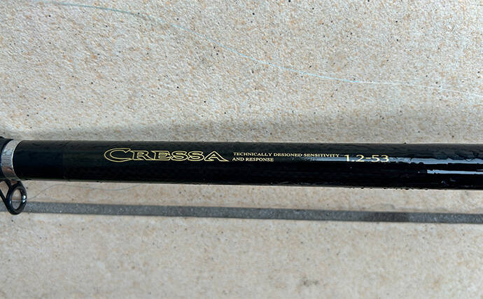 越前のヤエン釣りでアオリイカ当たりっぱなし！【福井】これぞ最盛期の釣り