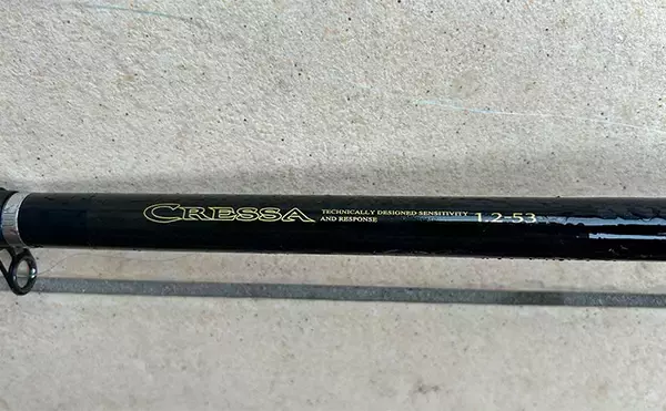 「越前のヤエン釣りでアオリイカ当たりっぱなし！【福井】これぞ最盛期の釣り」の画像