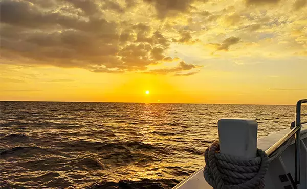 「御前崎沖ジギングでカンパチ連発！【静岡】潮緩でも重いジグが的中」の画像