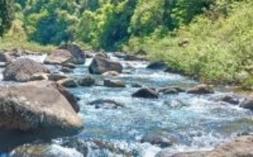 良型ヤマメ・アマゴ狙える渓流釣り場　石徹白川ポイントガイド【福井】