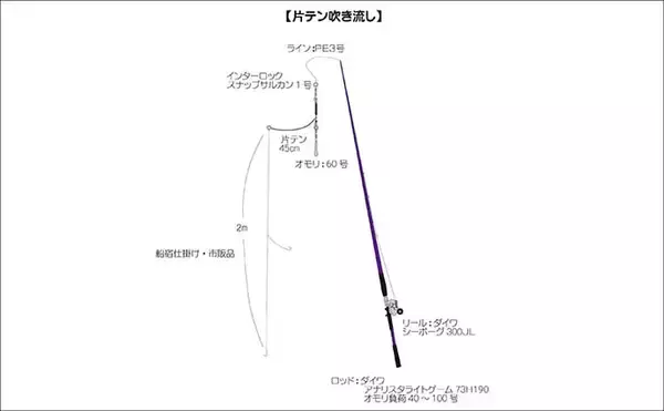 「沼津沖ボート釣りで念願のシロアマダイを手中！【静岡】高めのタナ設定が奏功」の画像