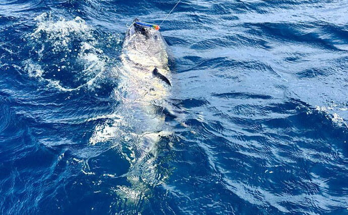クロマグロ釣りを始めよう！ 北海道で広がるキャスティングゲームの魅力とは