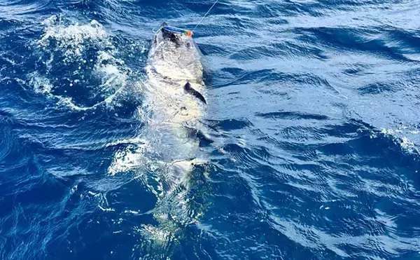 「クロマグロ釣りを始めよう！ 北海道で広がるキャスティングゲームの魅力とは」の画像