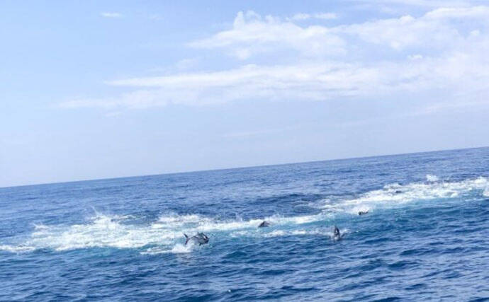 クロマグロ釣りを始めよう！ 北海道で広がるキャスティングゲームの魅力とは