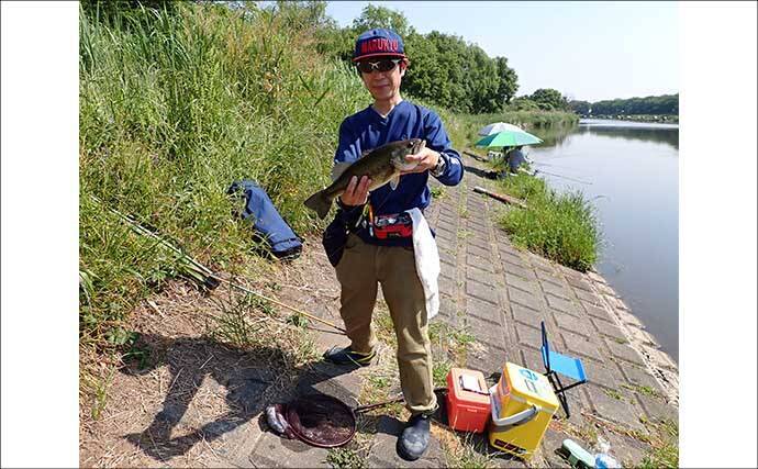 全国屈指のヘラ場『びん沼川』で五目釣り　ヘラブナ狙いに43cmブラックバス乱入