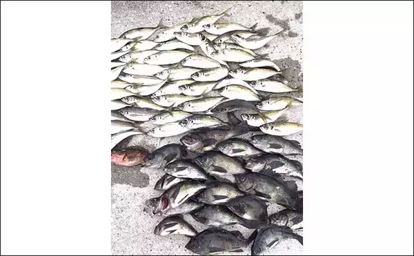 「釣り好き女性が実践する【釣り友の作り方4選】　人間関係トラブルにご注意を」の画像