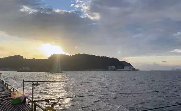 「豊浜釣り桟橋でのサビキ釣りで15cm級のアジ・サバでクーラー満タン【愛知】」の画像