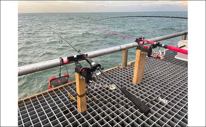 豊浜釣り桟橋でのサビキ釣りで15cm級のアジ・サバでクーラー満タン【愛知】