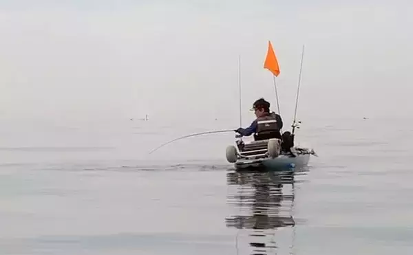 「「渓流タックルでブリと格闘！」三浦半島カヤックフィッシングでイナダが連発【神奈川】」の画像