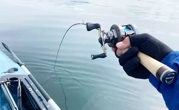 「「渓流タックルでブリと格闘！」三浦半島カヤックフィッシングでイナダが連発【神奈川】」の画像