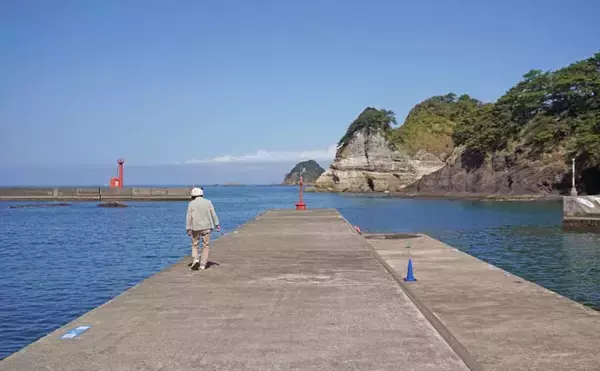 「家族4人で楽しむ仁科漁港のサビキ釣り旅行【静岡】小メジナやベラが次々ヒット！」の画像