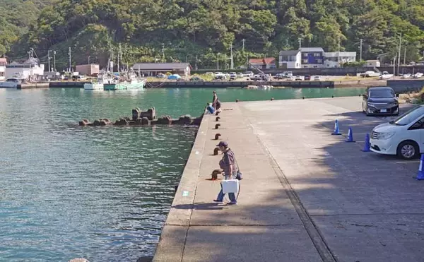 「家族4人で楽しむ仁科漁港のサビキ釣り旅行【静岡】小メジナやベラが次々ヒット！」の画像