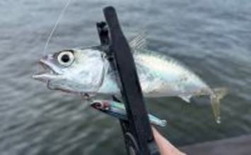 ショアジギで【フックにティンセルをつける意味】 ヨレヨレのまま使用はダメ？