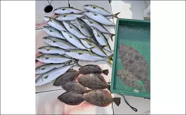 「周防灘の泳がせ釣りで75cm大判を筆頭に船中8尾のヒラメを手中【山口】青物や根魚もヒット！」の画像