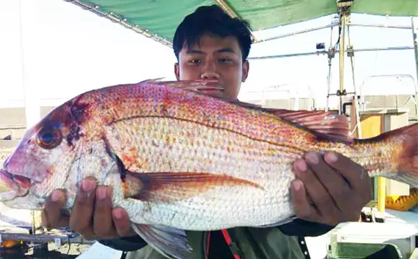 「【沖釣り釣果速報】ドラゴン級降臨！大分沖のテンヤタチウオ便で指幅7本クラスを手中（大分・熊本）」の画像