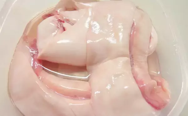 「魚の白子は「豆腐」の代わりになる？　調理法に困ったら豆腐として扱えばOK」の画像