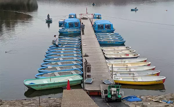 「「今日は100匹釣るぞ」が現実に　入鹿池のワカサギ釣りで釣友が初束達成【愛知】」の画像