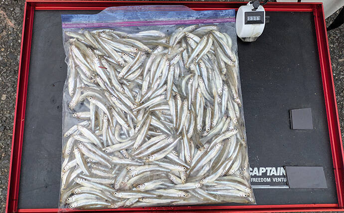 「今日は100匹釣るぞ」が現実に　入鹿池のワカサギ釣りで釣友が初束達成【愛知】