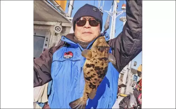 「師崎沖のカットウ釣りでヒガン＆コモンフグ合計17匹を手中【愛知】抱き合わせエサ炸裂で連発」の画像