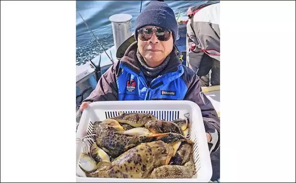 「師崎沖のカットウ釣りでヒガン＆コモンフグ合計17匹を手中【愛知】抱き合わせエサ炸裂で連発」の画像