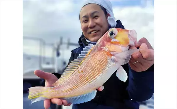 「【沖釣り釣果速報】7点掛けも飛び出す好況！スルメイカ多点ヒット連発（北陸）」の画像
