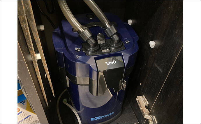 「最初はこれだけあればOK！」　魚の飼育に最低限必要なアイテム7選