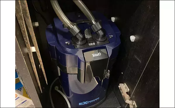 「「最初はこれだけあればOK！」　魚の飼育に最低限必要なアイテム7選」の画像