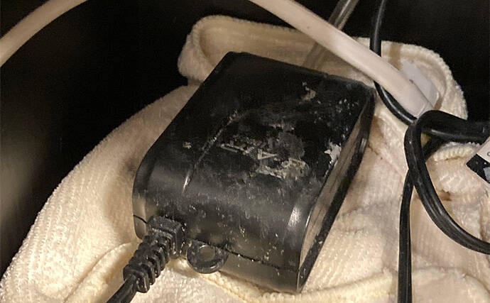 「最初はこれだけあればOK！」　魚の飼育に最低限必要なアイテム7選