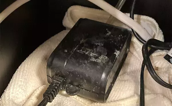 「「最初はこれだけあればOK！」　魚の飼育に最低限必要なアイテム7選」の画像