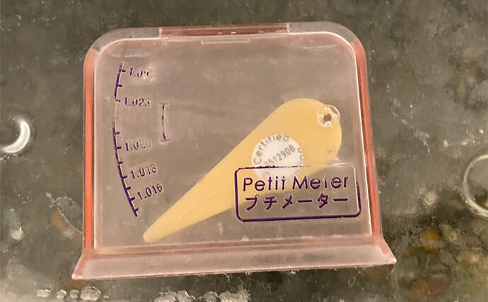 「最初はこれだけあればOK！」　魚の飼育に最低限必要なアイテム7選