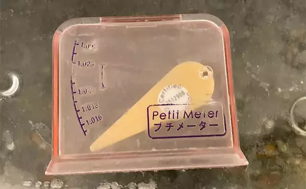 「「最初はこれだけあればOK！」　魚の飼育に最低限必要なアイテム7選」の画像