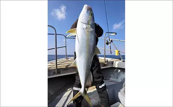 「タイラバで4kg筆頭にマダイ数釣りと好気配続く！【沖のルアー釣果速報・福岡】」の画像