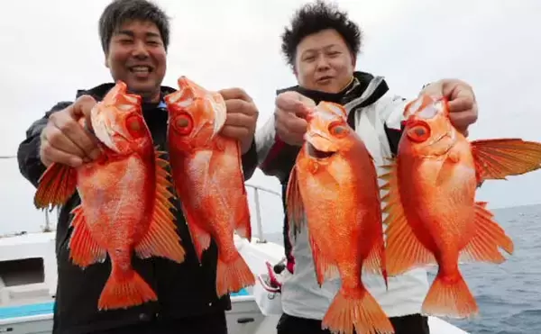「沖五目釣りで美味なハタ類＆アマダイが好反応中！【船釣り最新情報14選・福岡】」の画像