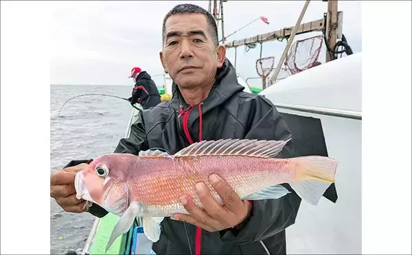 「沖五目釣りで美味なハタ類＆アマダイが好反応中！【船釣り最新情報14選・福岡】」の画像