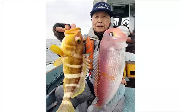 「沖五目釣りで美味なハタ類＆アマダイが好反応中！【船釣り最新情報14選・福岡】」の画像