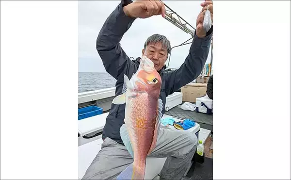 「沖五目釣りで美味なハタ類＆アマダイが好反応中！【船釣り最新情報14選・福岡】」の画像