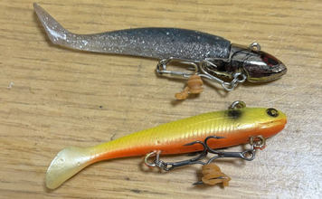 中古ルアー購入の「リスク」を解説　購入前後で確認＆注意すべきこととは？