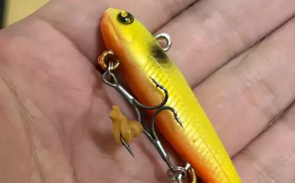 「中古ルアー購入の「リスク」を解説　購入前後で確認＆注意すべきこととは？」の画像