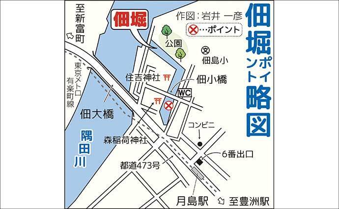 都心でハゼ釣りシーズンが開幕！【佃堀】6cm前後のデキハゼ中心に32尾を手中