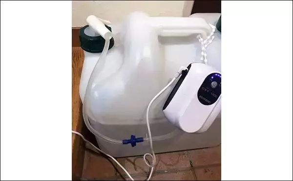 「釣り人的ヤリイカ料理７選　1週間連続で食べたらヤリイカ嫌いになる？」の画像