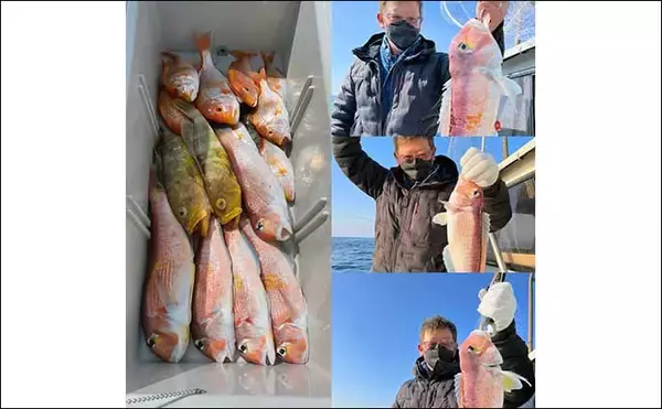 「【響灘】沖のエサ釣り最新釣果　アマダイ五目船でゲスト含み好打」の画像