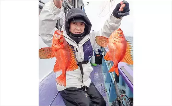 「オキメバル釣りで30cm超え含み良型連発！【茨城・釣友丸】キントキダイやアジなどゲストも多彩」の画像