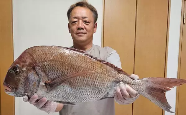 「「シロイカ釣りからドラマ展開！」泳がせ釣りへの転戦で80cmマダイ浮上【鳥取・田後沖】」の画像