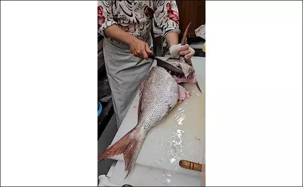 「「シロイカ釣りからドラマ展開！」泳がせ釣りへの転戦で80cmマダイ浮上【鳥取・田後沖】」の画像