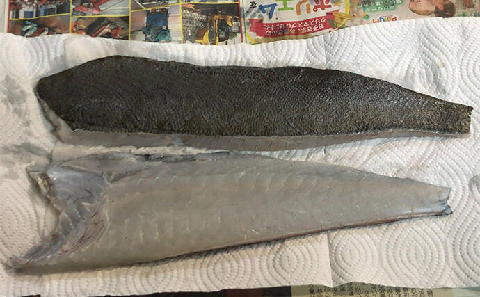 「捨てるのは勿体ない！」 美味魚で知られるヒラメは皮の唐揚げがめちゃくちゃ美味しい