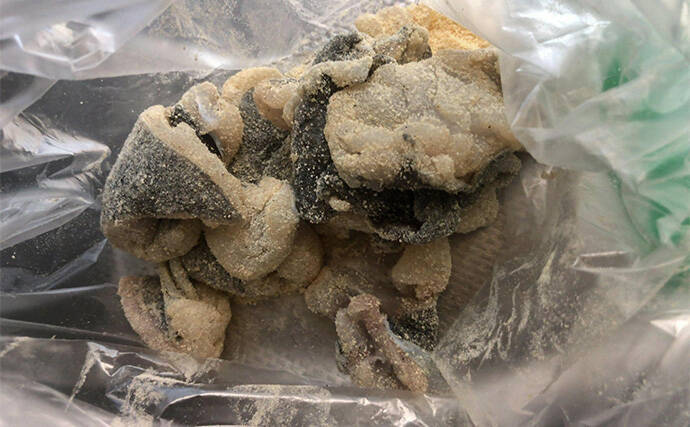 「捨てるのは勿体ない！」 美味魚で知られるヒラメは皮の唐揚げがめちゃくちゃ美味しい