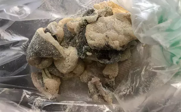 「「捨てるのは勿体ない！」 美味魚で知られるヒラメは皮の唐揚げがめちゃくちゃ美味しい」の画像