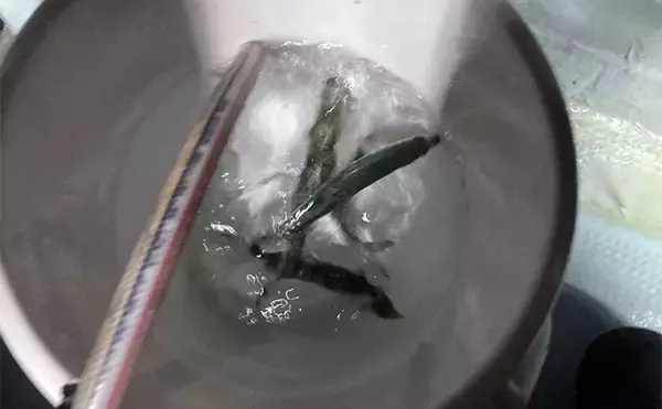 「泳がせ釣りで120cm・2.6kgハモをキャッチ【三重】青物に引けを取らぬ豪引を堪能」の画像