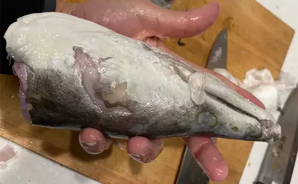 「泳がせ釣りで120cm・2.6kgハモをキャッチ【三重】青物に引けを取らぬ豪引を堪能」の画像