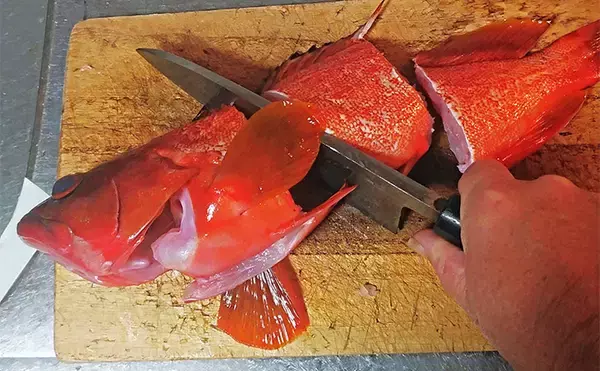 「釣魚で作る「フレンチ風」レシピ：アカハタのブイヤベース　セロリがアクセント」の画像